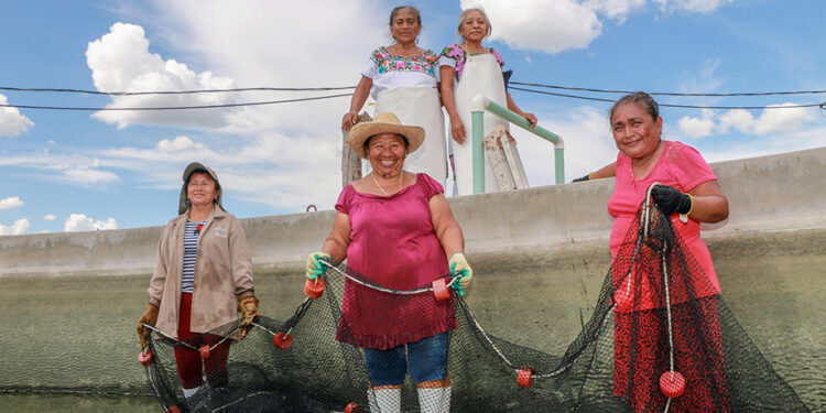Se unen Conapesca y Alianza del Pacífico para impulsar a mujeres de la pesca y acuacultura artesanal
