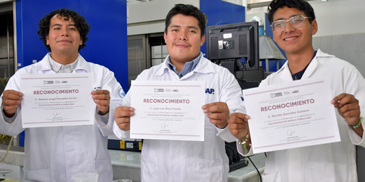 Estudiantes proponen reactor híbrido para producir biogás y biodiésel
