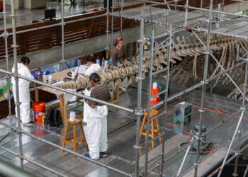 La Secretaría de Cultura invierte más de 12.3 millones de pesos en mantenimiento de la Biblioteca Vasconcelos a 20 años de su apertura