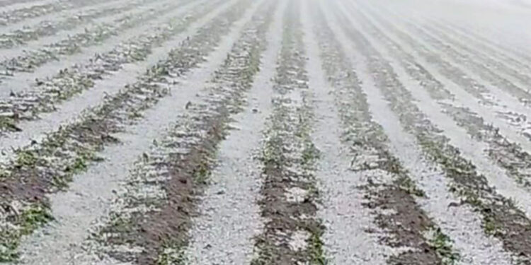 Gobierno del Estado supervisa afectaciones por granizada en municipios de Región Izta-Popo