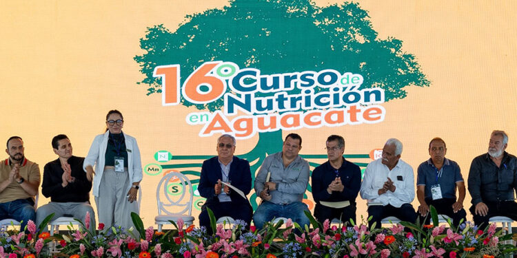 Productores aguacateros fortalecen conocimientos técnicos para impulsar la producción estatal