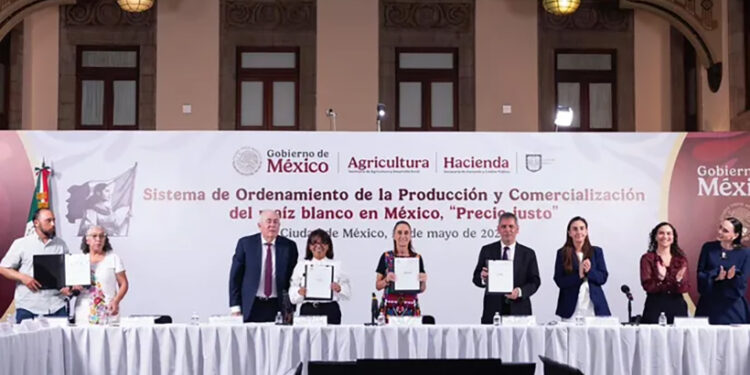 Vamos a garantizar la soberanía alimentaria: Presidenta Claudia Sheinbaum firma acuerdo para la creación del sistema de ordenamiento de la producción y comercialización del maíz blanco “precio justo”