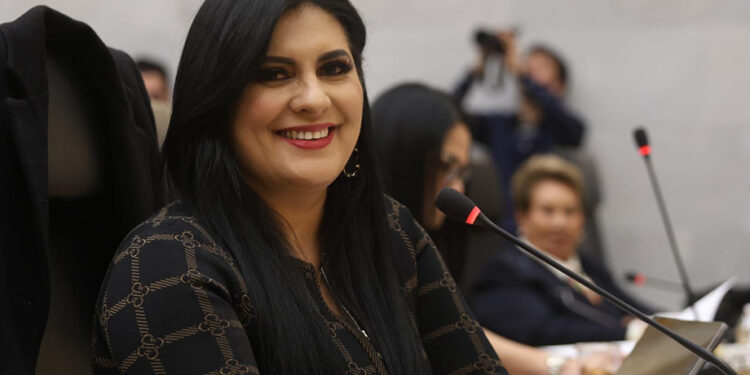 Delfina Pozos pide reforzar medidas para cuidar a niñas y niños ante el aumento de temperaturas