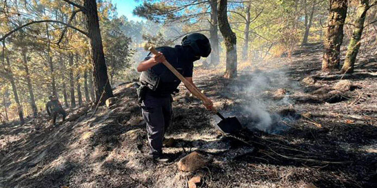 Fortalece Seguridad Pública protección y combate a delitos ambientales
