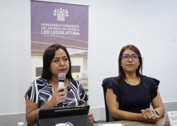 Congreso de Puebla instala dispensadores de toallas femeninas, anuncia la diputada Celia Bonaga