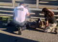 Policía Auxiliar apoya en un choque en la autopista Puebla-Acatzingo