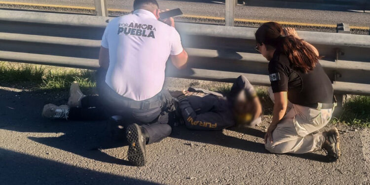 Policía Auxiliar apoya en un choque en la autopista Puebla-Acatzingo