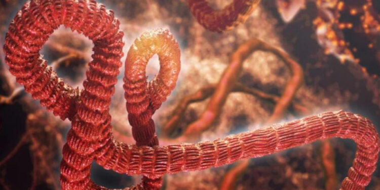 Médico norteamericano contagiado de ébola será llevado a Alemania para su tratamiento