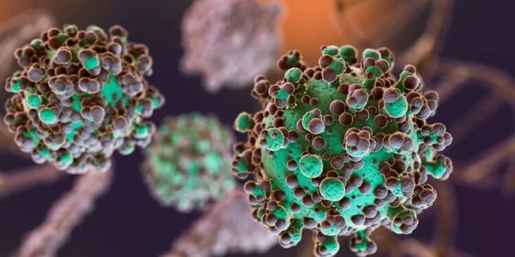 Sin riesgo alguno México emite alerta a médicos por Hantavirus