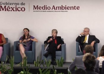 SEMARNAT anunció que no aprobará proyecto de Royal Caribbean en Mahahual