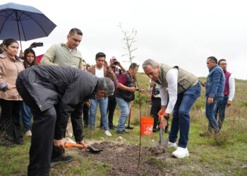 Encabeza Pepe Chedraui jornada de reforestación en Ecocampus BUAP