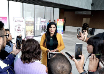 El PRI atiende a los intereses de los ciudadanos, no del oficialismo, por eso está abierto a las alianzas: Delfina Pozos