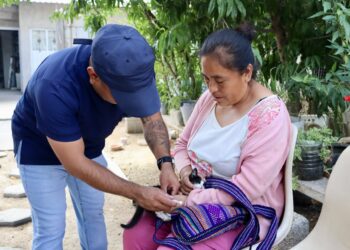 DIF de Ocoyucan realiza más de 500 esterilizaciones caninas y felinas
