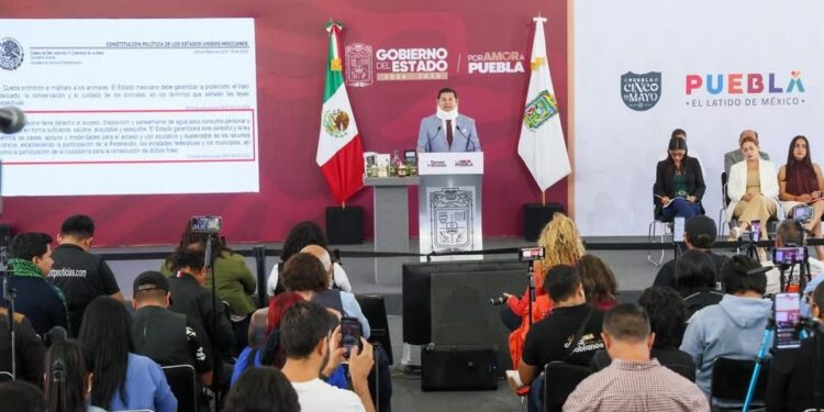 Recisión de la concesión de Agua de Puebla se logrará con apoyo de la SCJN: AAM