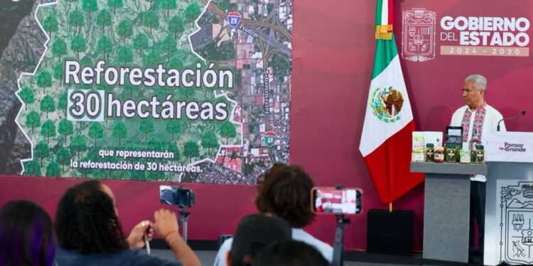 SEP puso en marcha programa “Pulmones Escolares” en mil escuelas: Narciso Viveros
