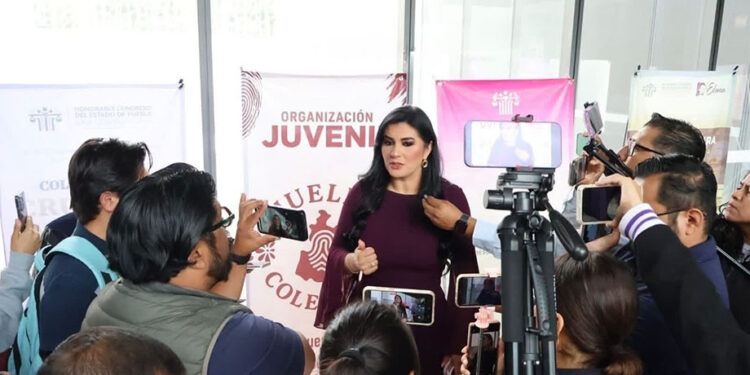 «Morena no entiende, los cargos públicos no son un patrimonio familiar»: Delfina Pozos exige castigos más severos contra el nepotismo