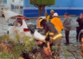 Una persona perdió la vida al interior de su auto al caerle un árbol durante la fuerte lluvia de ayer