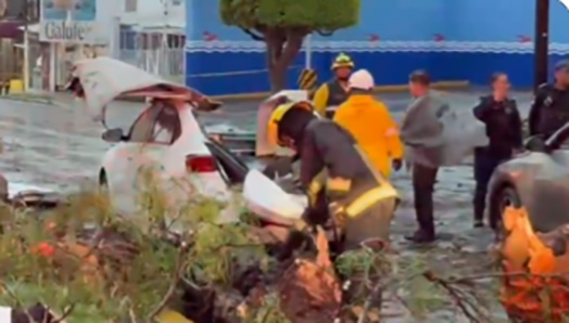 Una persona perdió la vida al interior de su auto al caerle un árbol durante la fuerte lluvia de ayer