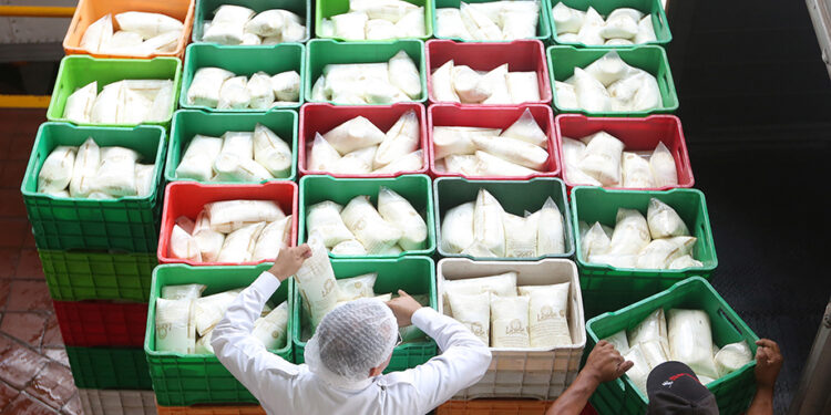 Leche para el Bienestar llega ya a 7.5 millones de beneficiarias y beneficiarios, con precio preferencial en la compra del lácteo