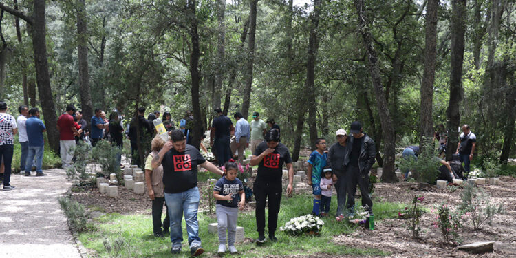 Se dieron cita cientos de familias en la celebración del Día del Padre organizada por Bosque Eterno