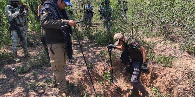 Mesas de trabajo del gobierno estatal con familias buscadoras fortalecen resultados