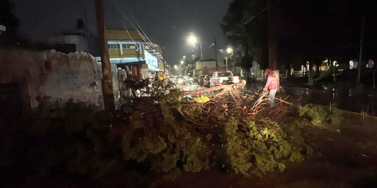 Despliega gobierno de Pepe Chedraui acciones para atender afectaciones por lluvias en la capital