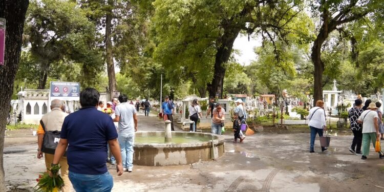 Reporta Gobierno de Pepe Chedraui más de 33 mil asistentes al Panteón Municipal por el Día del Padre