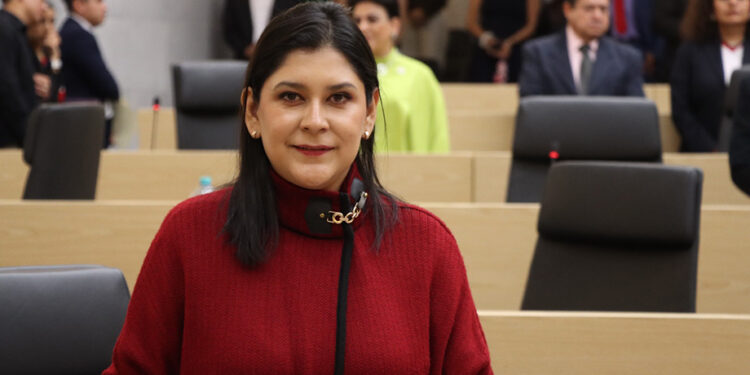 Protección al patrimonio biocultural y participación de los pueblos indígenas, plantea la diputada Ana Lilia Tepole en iniciativa