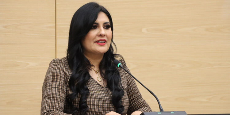 Propone diputada Delfina Pozos aumentar sanciones por robo y abuso de confianza contra personas indígenas y afromexicanas
