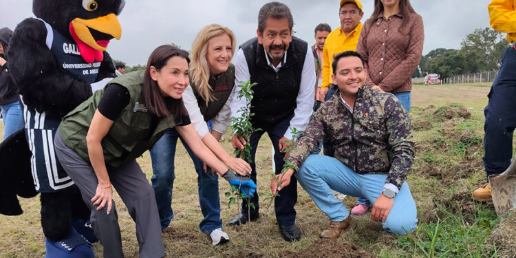 Asegura Gobierno del Estado reforestaciones con impacto duradero
