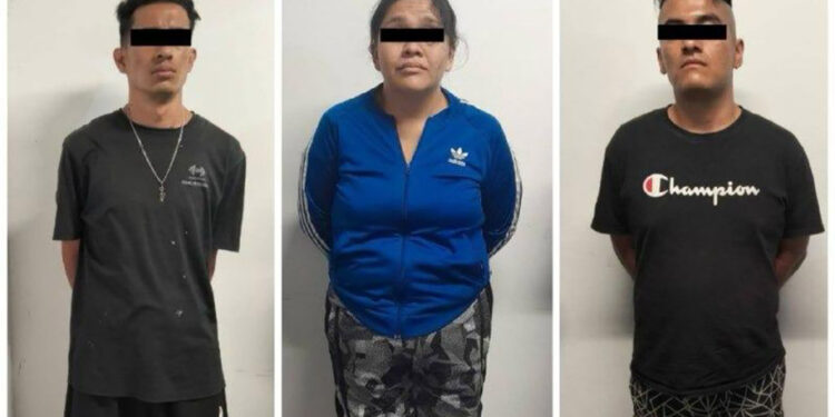 Policía Estatal retira de las calles más de ocho kilogramos de marihuana