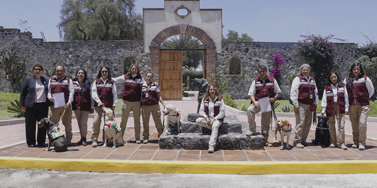 Inicia Agricultura capacitación de la Generación 82 de Binomios Caninos para proteger el patrimonio agroalimentario
