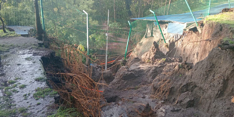 Lluvias causan estragos en el Parque Metropolitano y el Parque del Arte
