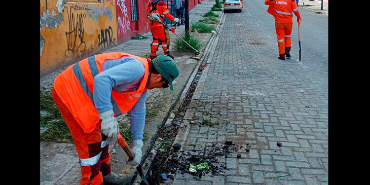Gobierno de Pepe Chedraui realiza jornada de limpieza en la 2 Oriente