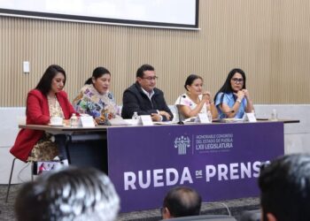 Partidos políticos deben elegir bien a sus próximos candidatos: Pável Gaspar