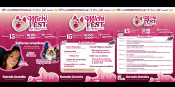 Fomenta Gobierno de la Ciudad tenencia responsable de gatos con el «Michi Fest»