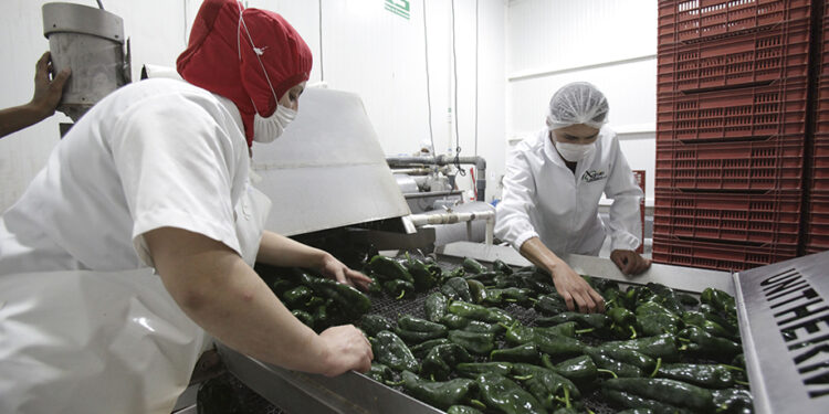 México logra cifra récord de 184 mdd en envío de alimentos al Reino Unido