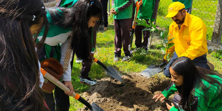 Con 500 árboles, gobierno estatal refuerza la conservación ambiental en San José Chiapa