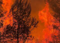 España sufre la peor catástrofe de incendios en muchos años y ni cerca su control