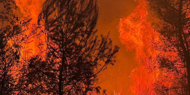 España sufre la peor catástrofe de incendios en muchos años y ni cerca su control