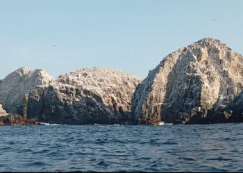 Los Morros de Potosí, un tesoro natural donde convergen la biodiversidad y la tradición