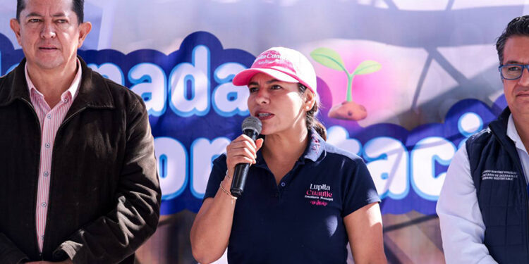 Realiza Lupita Cuautle jornada de reforestación en telesecundaria de la inspectoría Emiliano Zapata