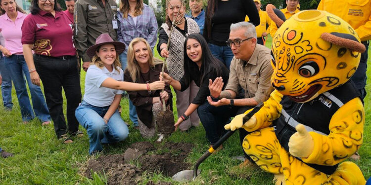 Gobierno estatal plantará 2 millones de árboles con visión integral de restauración