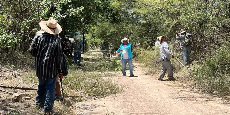 Antorcha transforma los caminos de Quicayán
