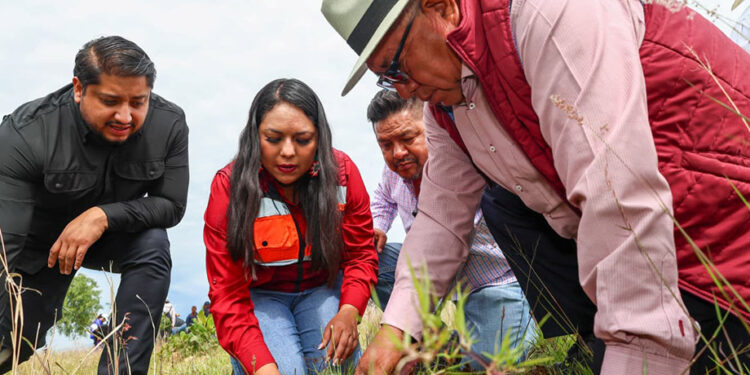 Impulsa Tonantzin Fernández acciones permanentes de reforestación en el Cerro Zapotecas