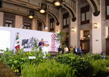 Claudia Sheinbaum presenta la jornada nacional de reforestación 2026 el próximo domingo y se plantarán 6.6 millones de árboles y plantas
