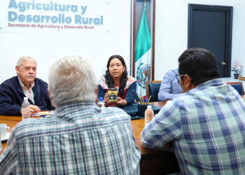 Impulsa SADR la apicultura con trabajo directo junto a productores