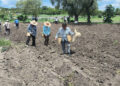 Apoyan agricultura sustentable con organización campesina