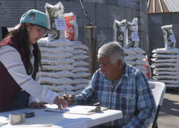 Fertilizantes para el Bienestar alcanza 95.9% de cobertura nacional e impacta a más de 814 mil mujeres productoras