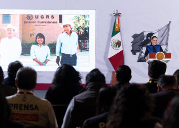 Claudia Sheinbaum anuncia reanudación de la exportación de ganado a Estados Unidos desde Sonora